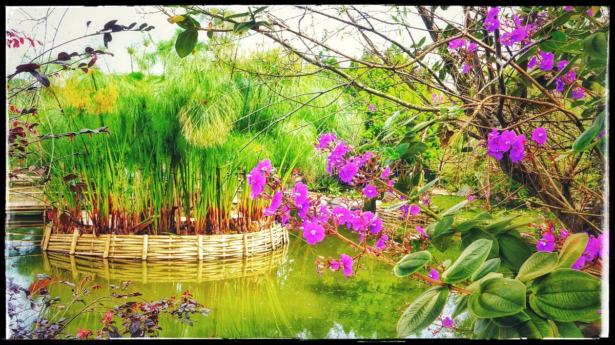 khafidmukriyant's tweet photo. Bingkai https://t.co/bA05sierlz