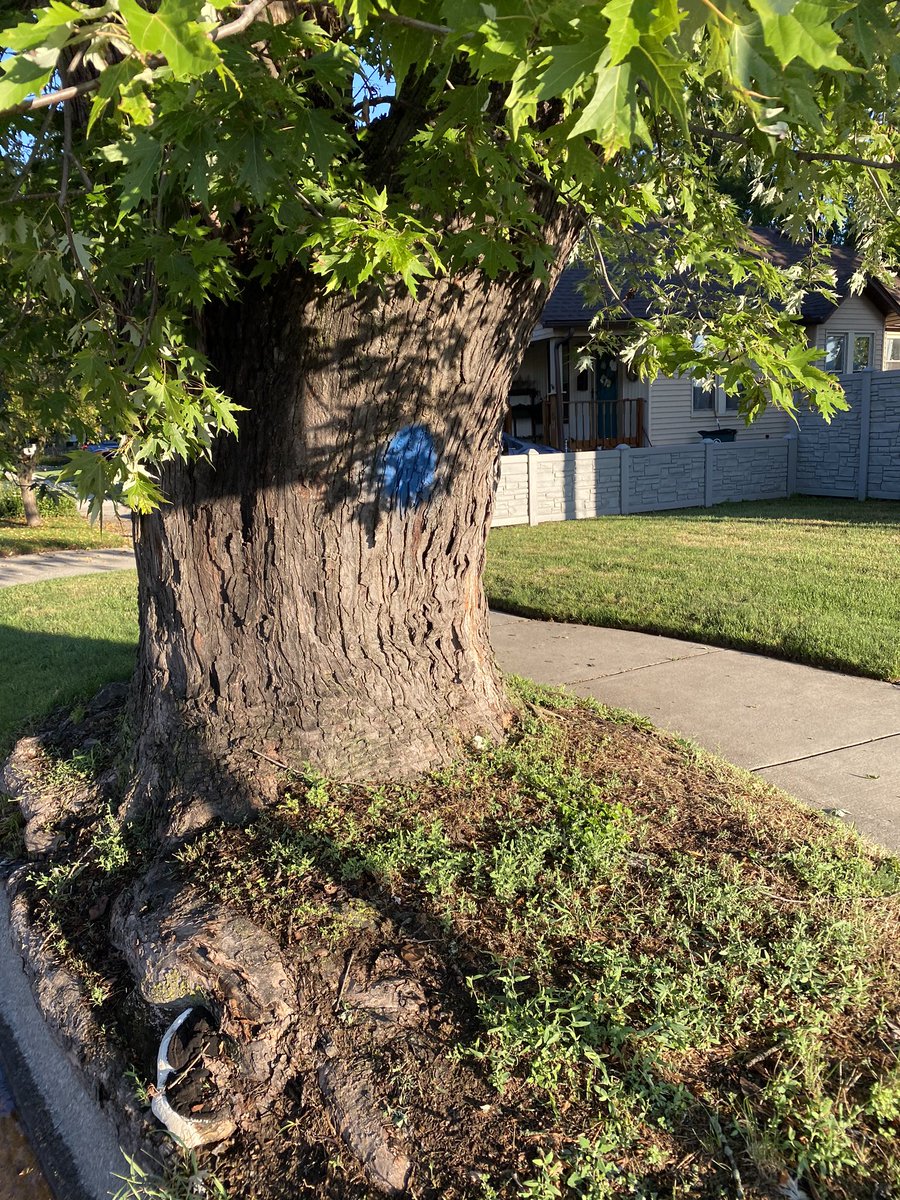 If you look hard enough, you’ll find #MOVR2020 all around you.