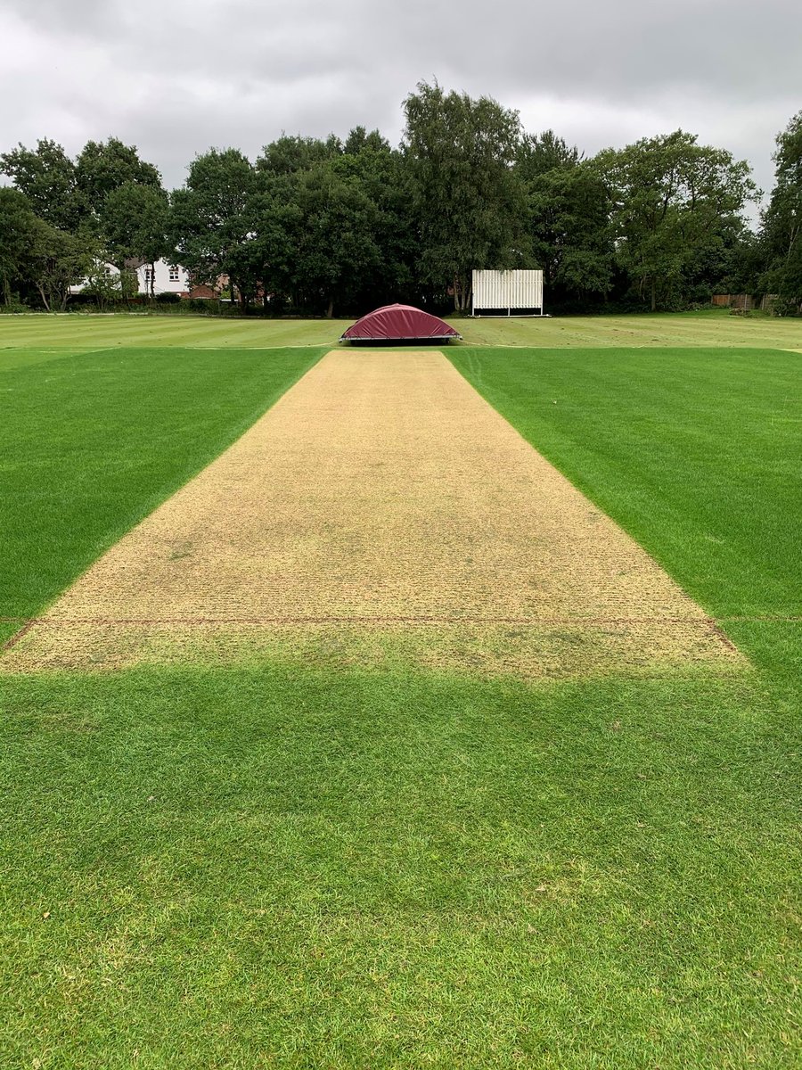 Stockport Trinity CC tweet media