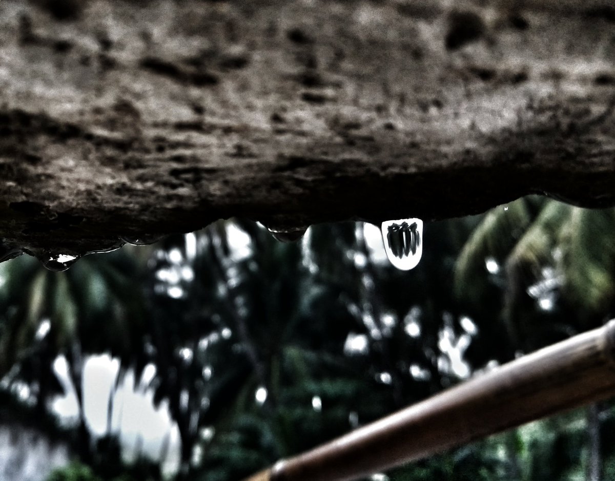 _mr_deb_'s tweet photo. Yeh mausam ki baarish❤️. Yeh baarish ka paani. Yeh paani ki boondein.❤️ ❤️
When you see it inside the drop, it's miracle 😜🥰
#nature #naturephotographyday #raindrop #Rain 
#PhotoOfTheDay 
📸😊 https://t.co/eJEydKwjcd