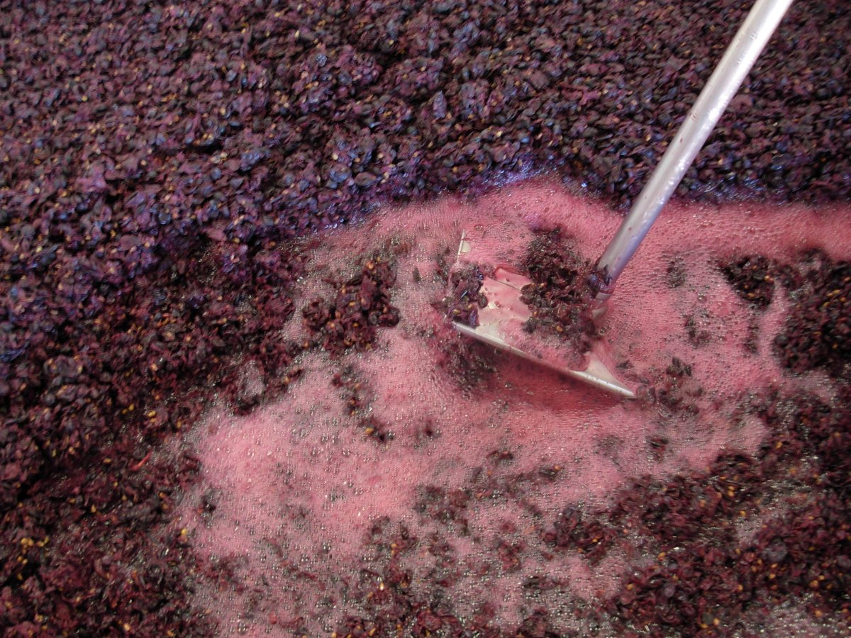 Reserve Red Wines Available July 24th - mailchi.mp/blackwidowwine…