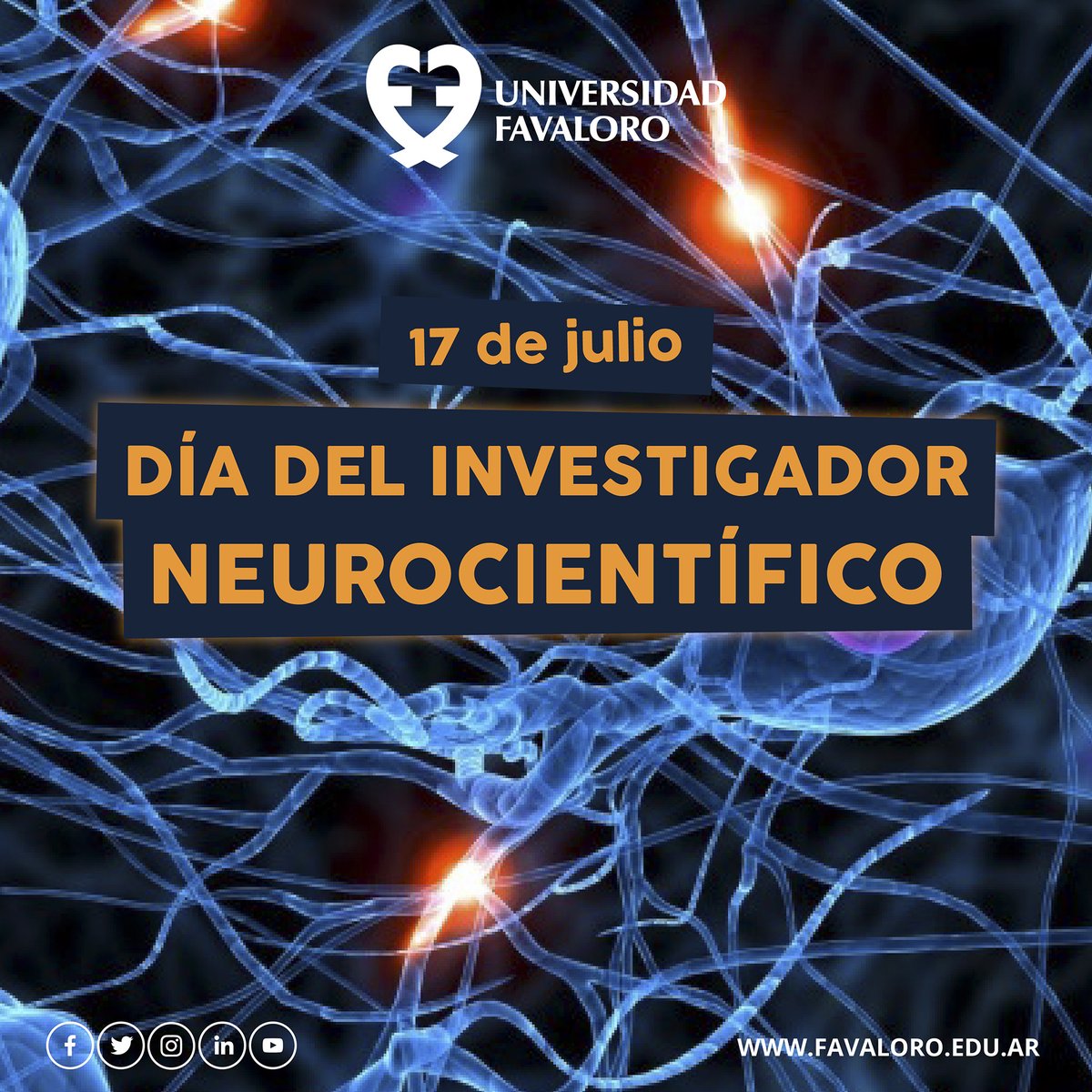 Universidad Favaloro tweet media