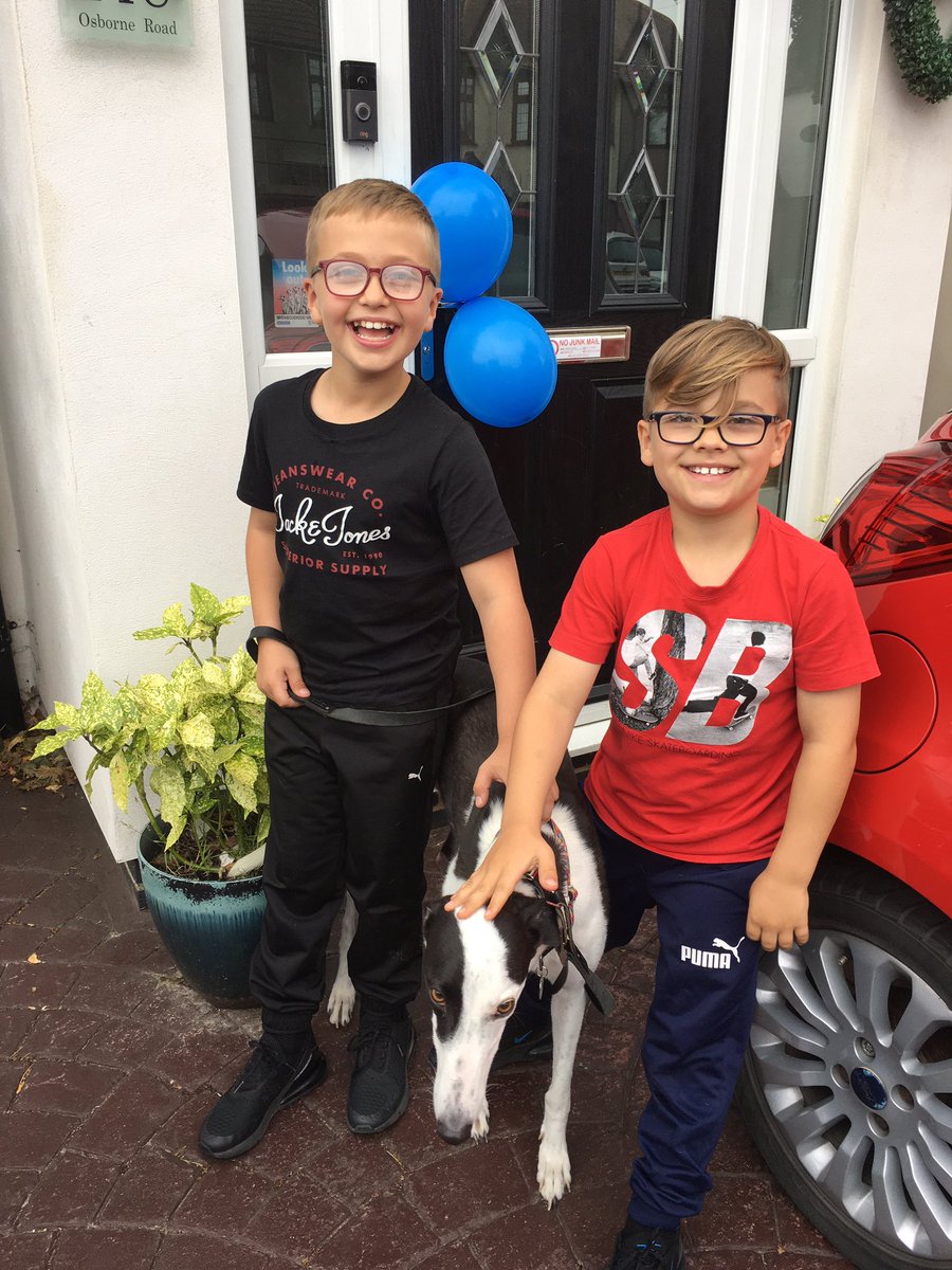 DawnFagence's tweet photo. @TowersJuniorSch balloons! https://t.co/lqQHBWiZyS