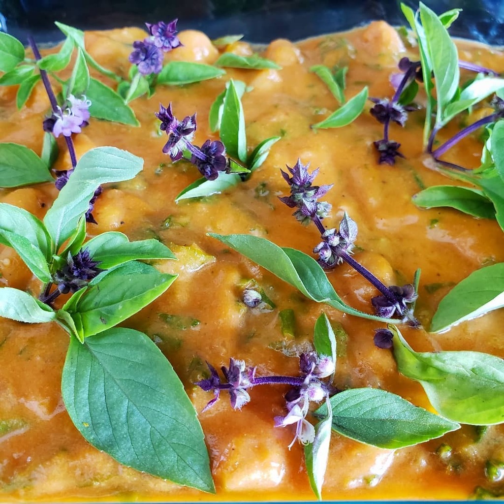 botanical_eat's tweet photo. Thai basil atop a thai red pumpkin chickpea curry with kale.

#botanicalkitchen #eattothrive #dinner #whatsfordinner #thai #thaifood #spices #coconut #veg #vegan #vegetarian #plantbased #homemade #curry #paste #makeyourown #yummy #antiviral #herbs #antii… https://t.co/AXveNBlz91 https://t.co/6cKpLrKj5X