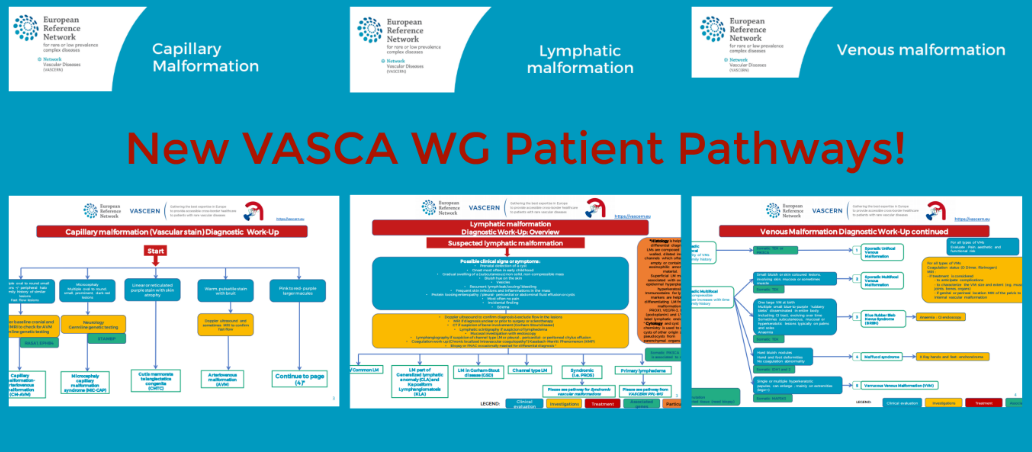 VASCERN (@vascern) on Twitter photo 3 new #patient pathways, #capillary, #venous and #lymphatic #malformation, produced by the #vascular #anomalies #VASCA WG, now available vascern.eu/capillary-veno… #ERNeu <a href="/MiikkaVikkula/">Miikka. Vikkula</a> @leoschultzekool <a href="/LaurenceBoon1/">Laurence Boon</a> @HevasNederland <a href="/lalibaselga/">eulalia baselga</a> <a href="/HecovanNijmegen/">C. van der Vleuten</a> <a href="/NaderGhaff/">Nader Ghaffarpour</a> 3 new #patient pathways, #capillary, #venous and #lymphatic #malformation, produced by the #vascular #anomalies #VASCA WG, now available vascern.eu/capillary-veno… #ERNeu <a href="/MiikkaVikkula/">Miikka. Vikkula</a> @leoschultzekool <a href="/LaurenceBoon1/">Laurence Boon</a> @HevasNederland <a href="/lalibaselga/">eulalia baselga</a> <a href="/HecovanNijmegen/">C. van der Vleuten</a> <a href="/NaderGhaff/">Nader Ghaffarpour</a>