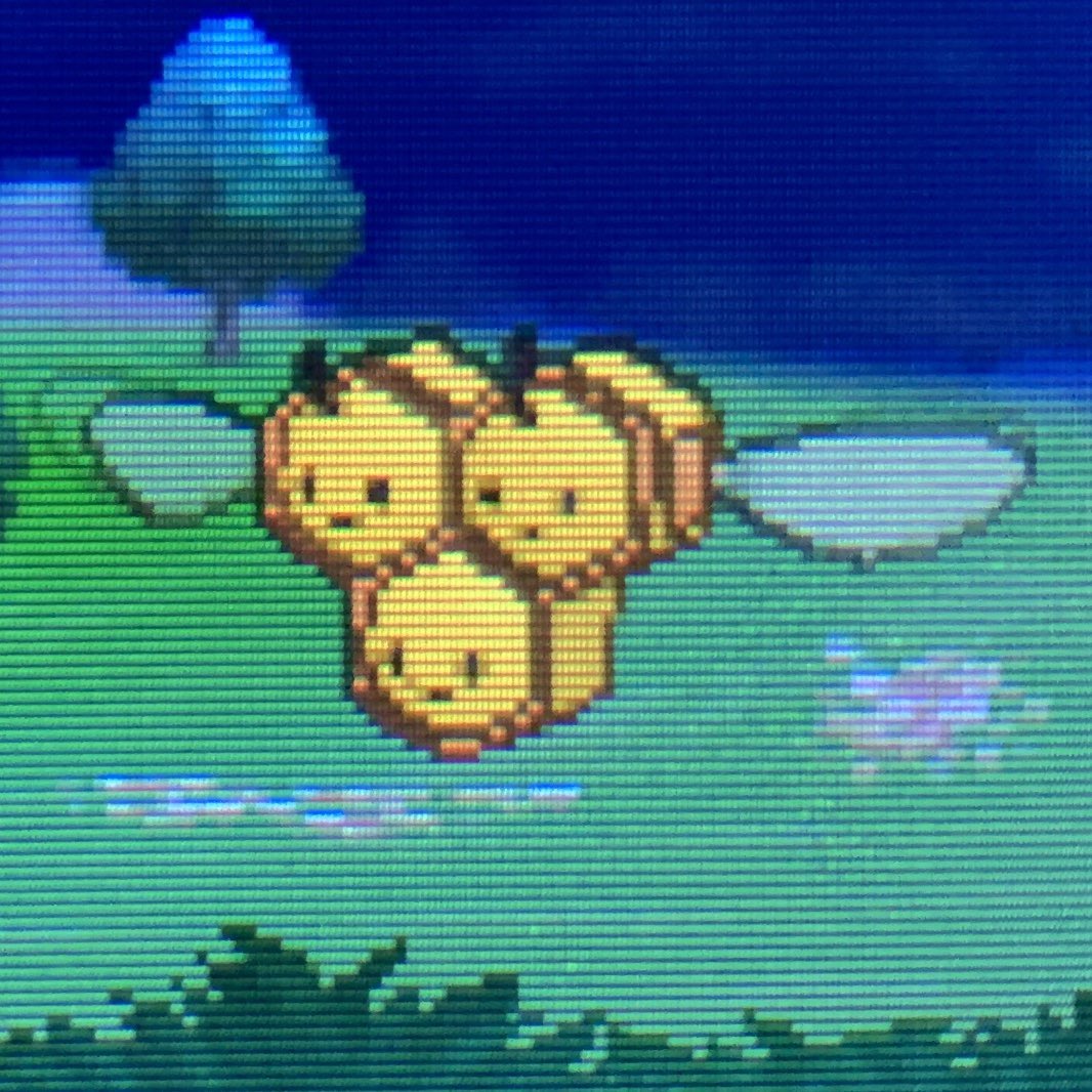 どくたーディロマト ポケモン6種コンプリートの道 Diromat Twitter