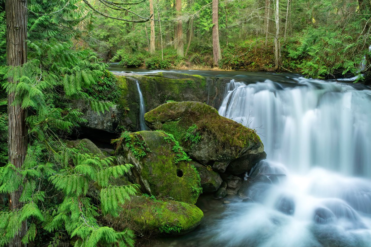 BellinghamExp's tweet photo. Submit your photos of Bellingham &amp; Whatcom County for a chance to win some local treats and to be featured on our page! Submissions accepted till August 1st, entry form here: https://t.co/nCzGBSlvNu #photocontest #visitbellingham #bellinghamexperience https://t.co/qqIHcMzepJ