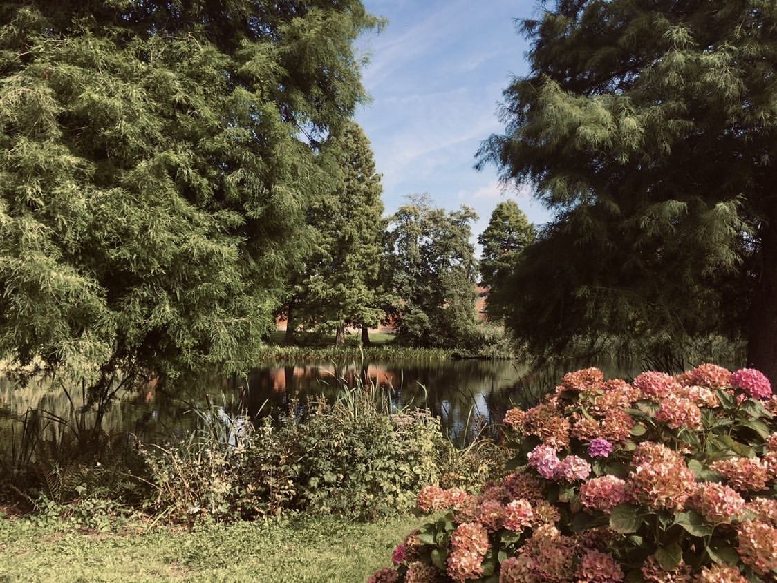 PhoenixCollHQ's tweet photo. 🌻🌹🌷💮🌼💐🌺🌳We have received some amazing entries for @Arts_Sandwell 'How does your garden grow?' From parks and gardens in #Sandwell. A BIG Well Done to Paulina Rozkowinska, Summer Heeley, Ethan Dutton all in year 9 for sending in these amazing photos! 🌻🌹🌷💮🌼💐🌺🌳 https://t.co/qpSVdwT7PM