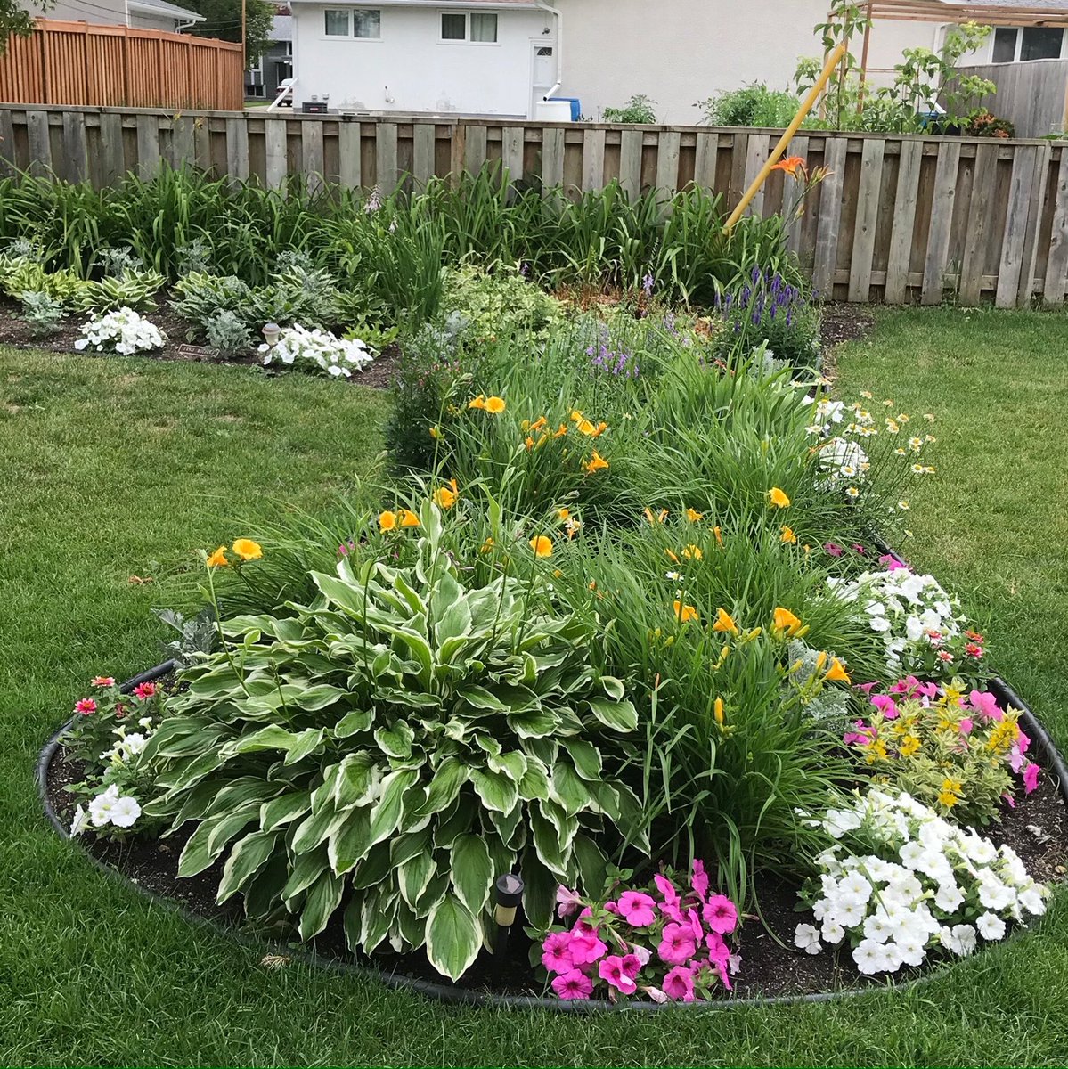 PrairieSpiritUC's tweet photo. The flowers are really in bloom now and a monarch caterpillar was found on one of the milkweed plants in the front corner garden.

A small group of gardeners have been working to freshen up and maintain our gardens. If you are out and about, consider stopping by. https://t.co/y7dOlG8SVb