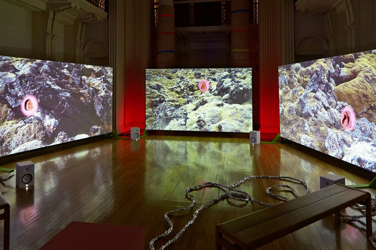 talbotrice75's tweet photo. #ThrowbackThursday
Benedict Drew
13 Feb - 8 May 2016
We're looking back to when the Georgian Gallery was filled with the wonderful sights and sounds of Benedict Drew's 'Sequencer'. Part of #BAS8
#TalbotRice #BenedictDrew @benedictdrew
#TBT
@eca_edinburgh
Photos: Chris Park https://t.co/p9YAI0dTEt