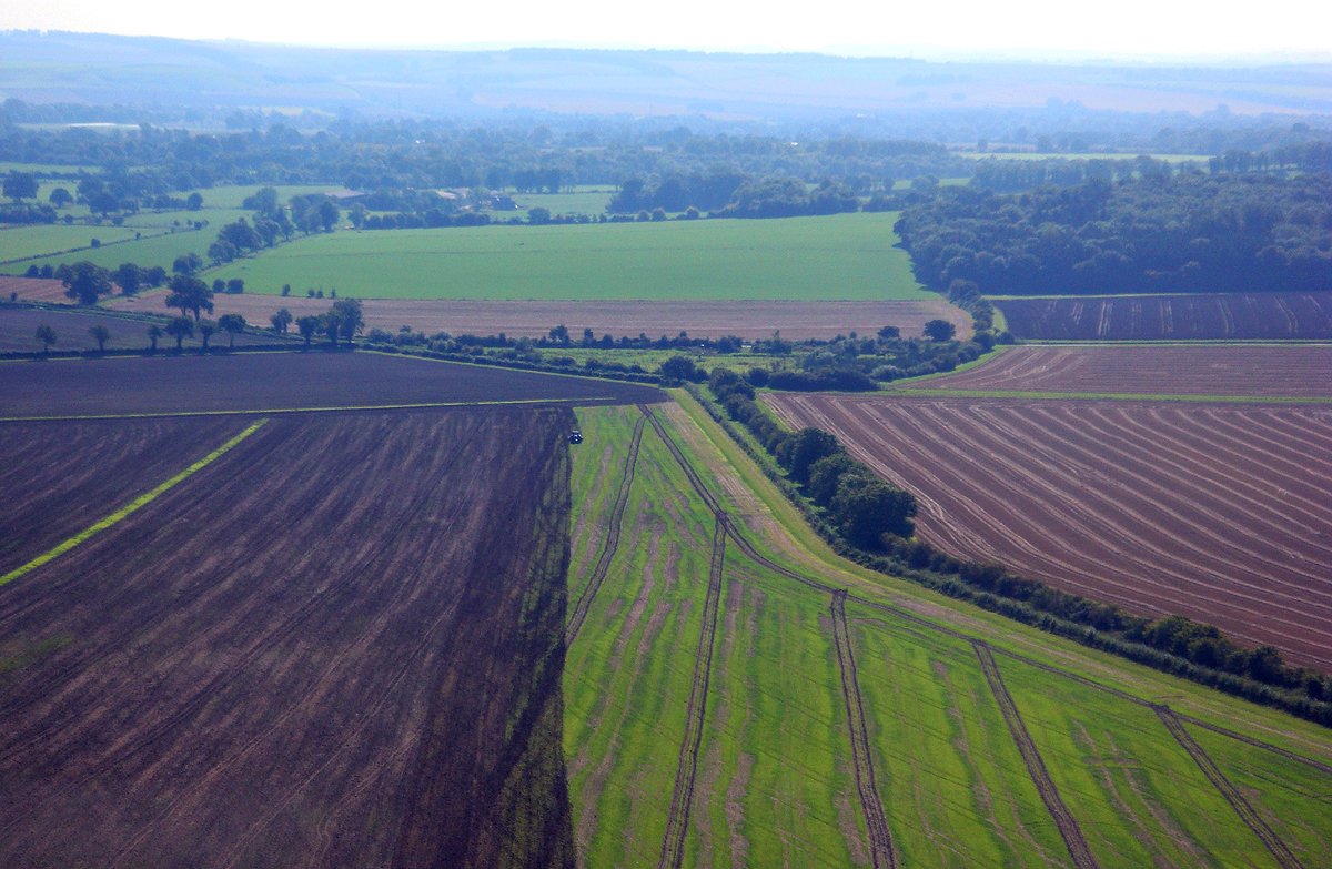 Anna_Dillon's tweet photo. Today's #dailylandscape is inspired from the tweet by @HenryRothwell. This view is a wonderful patchwork landscape below Adam's Grave which is a Long Barrow at Alton Barnes, Wiltshire. The ploughing below, as I took the photo (2008), changed the field from vivid green to purple. https://t.co/cJH5N3WjVw
