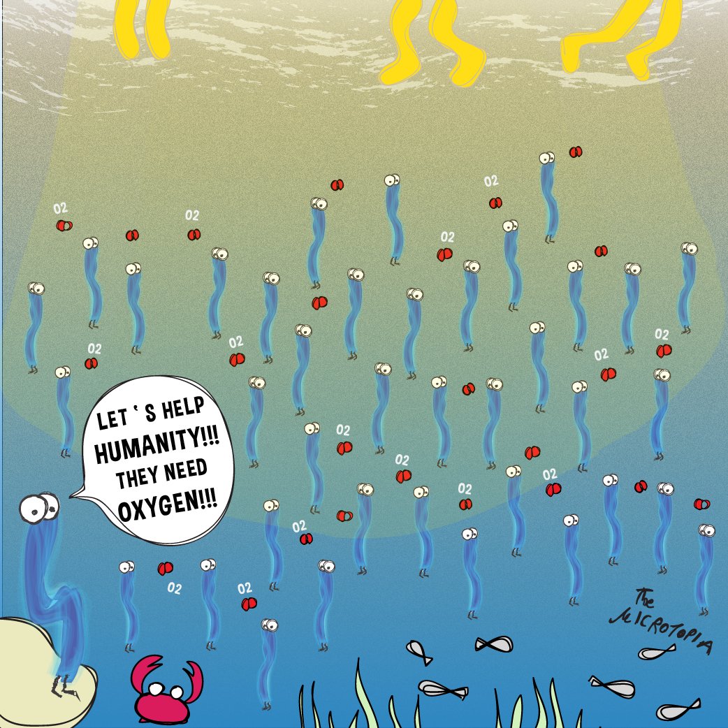themicrotopia's tweet photo. #protect the #oceans
Algae are struggling to provide for us precious #oxygen 🙌
🙄#microbiology #summer https://t.co/LWM7PNgcSi