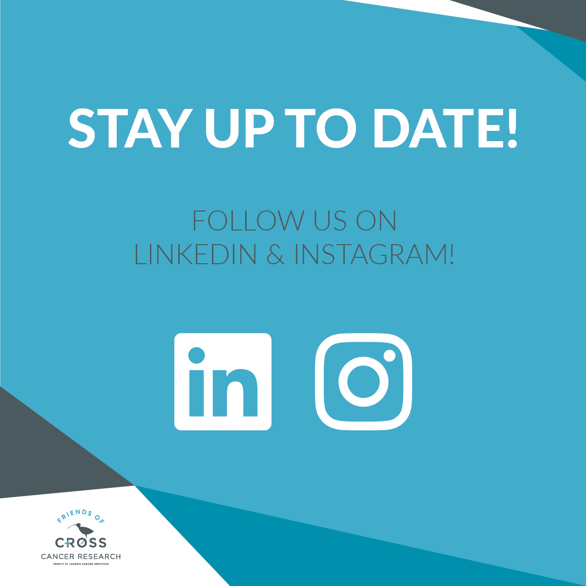 Help us out! 🙏

As we continue to post updates, news, articles and videos in the lead up to the Virtual Challenge 2020 - We would really appreciate it if you follow us on our new LinkedIn and Instagram profiles! - Search "Friends of Cross" to find us on both!

#FriendofCross
