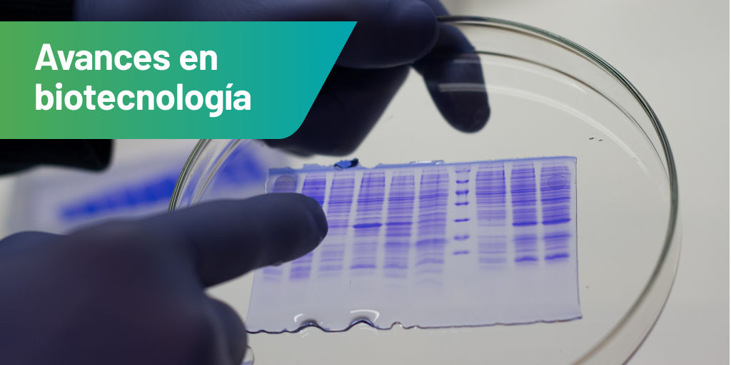 LaboratNOVA's tweet photo. El equipo de biotecnólogos e ingenieros del Departamento de Enzimas de NOVA dio el primer paso en una línea de desarrollo de proteínas con potencial efecto antiviral contra COVID-19. #COVID__19 #Enzimas #Biotecnología https://t.co/c36mM9QFRj
