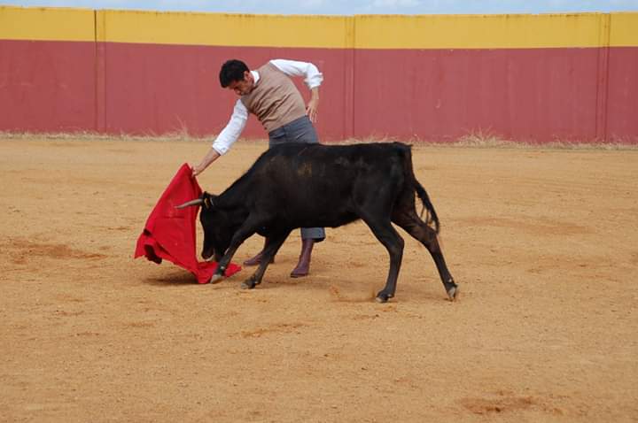 <a href="/janeiro_victor/">VICTOR JANEIRO BAZAN</a> en casa con una de Toros del Ojailen!!! Lo que disfrutamos ese día!!!