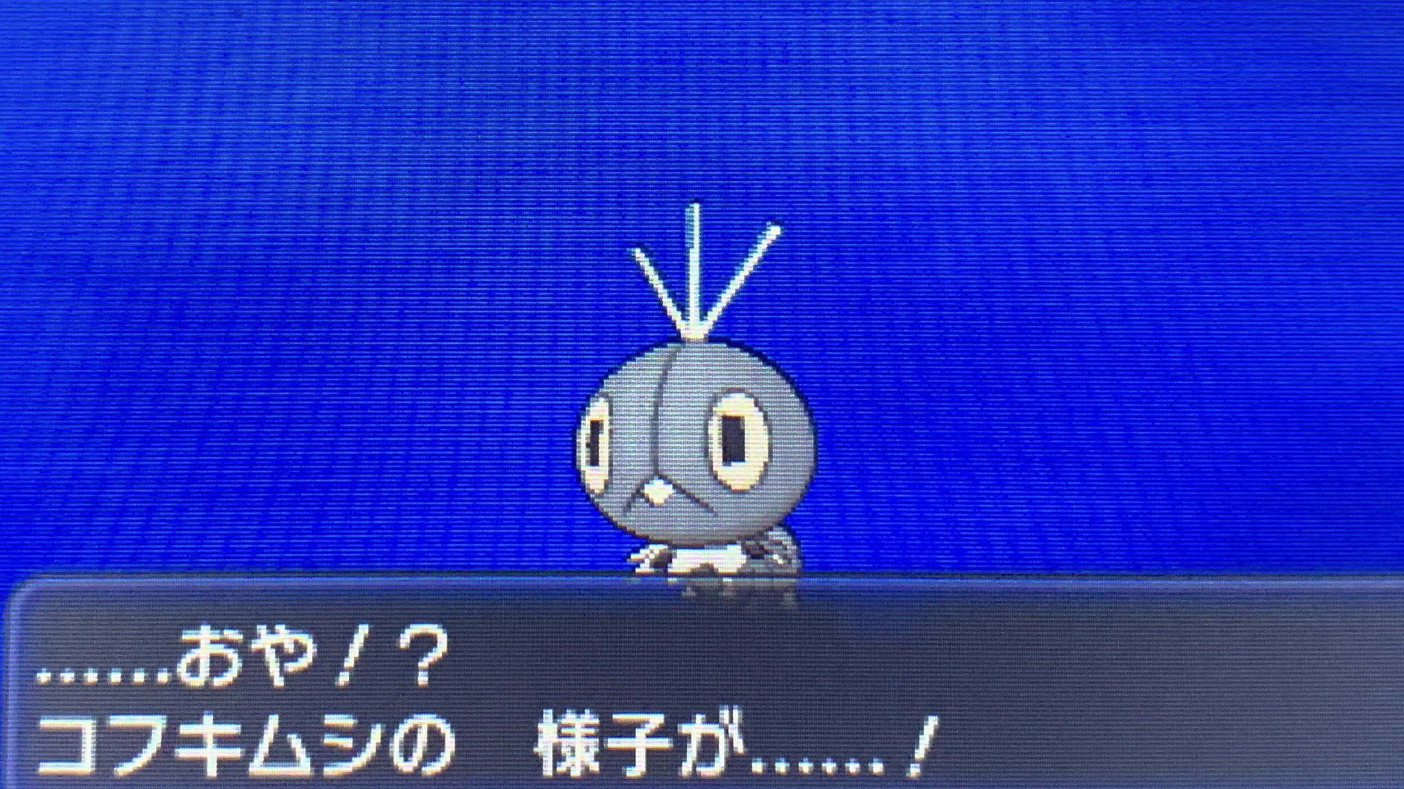 どくたーディロマト ポケモン6種コンプリートの道 Diromat Twitter