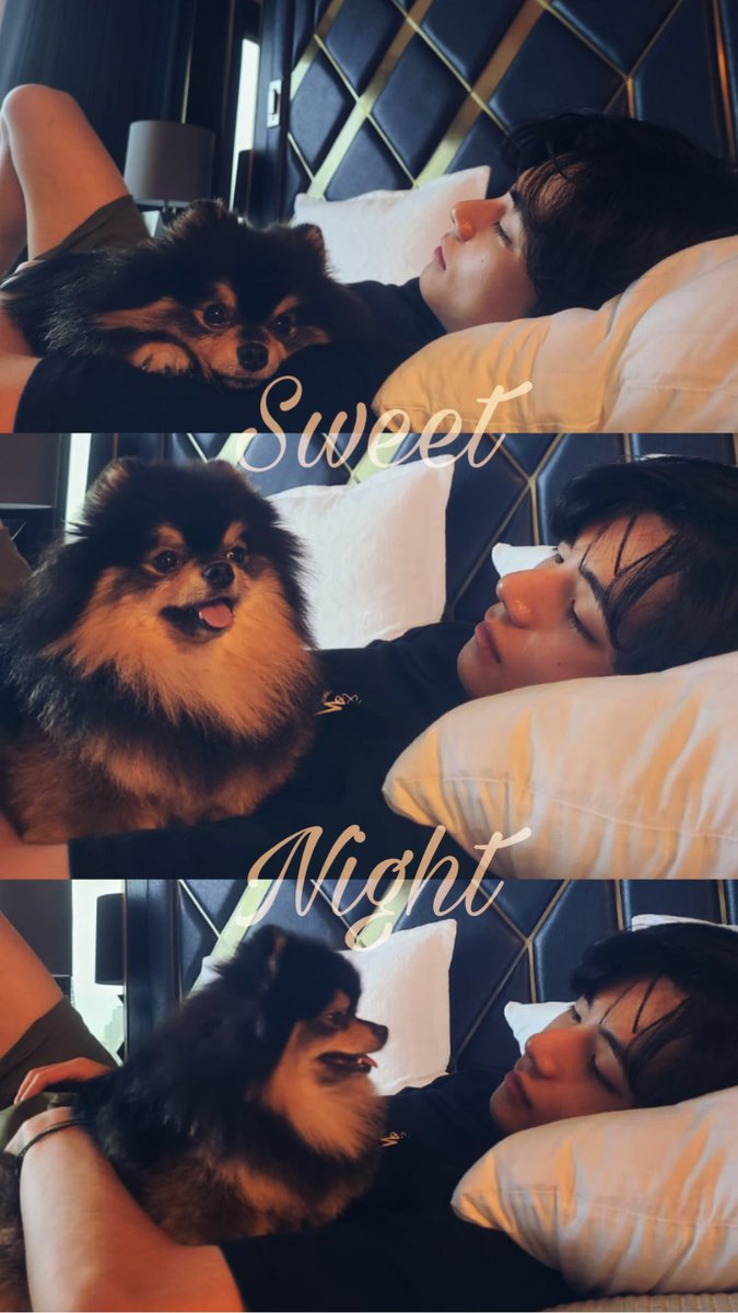thaty0812's tweet photo. #WEVERSE #Yeontan #Tannie #TAEHYUNG @BTS_twt https://t.co/V3V2ZSAitB