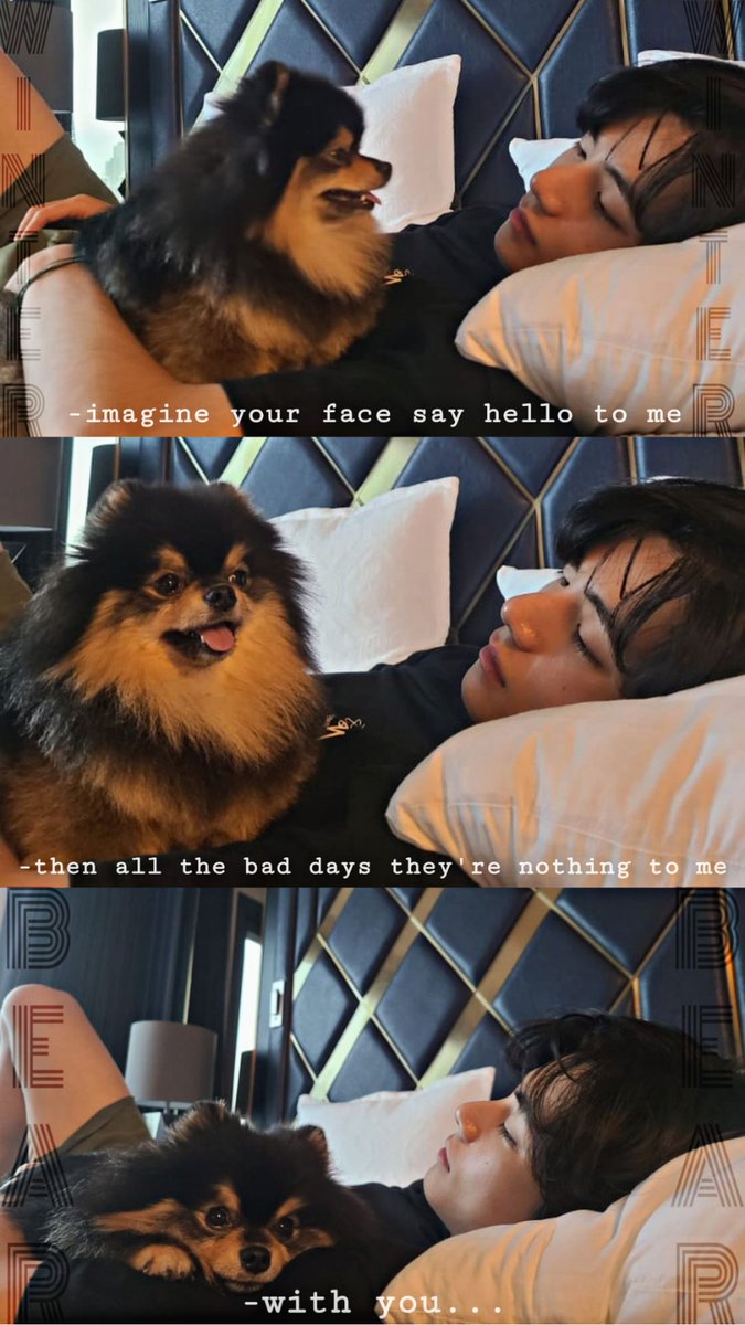 thaty0812's tweet photo. #WEVERSE #Yeontan #Tannie #TAEHYUNG @BTS_twt https://t.co/V3V2ZSAitB