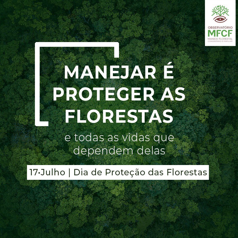 OMFCFoficial's tweet photo. O Manejo Florestal Comunitário e Familiar é uma alternativa para a proteção das florestas e das pessoas que nela vivem e dela dependem para viver. A relação homem-natureza deve ser encarado como um ciclo de cuidado em que o resultado da ação de um impacta diretamente no outro. https://t.co/RI1FmxLb2N