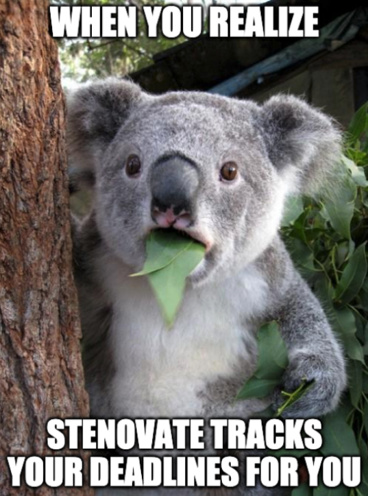 Stenovate tweet media