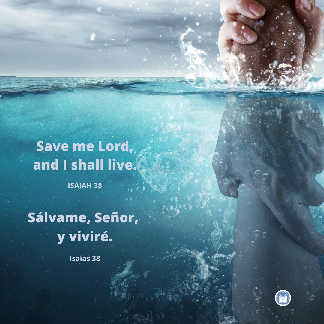 St Michael Livermore tweet media