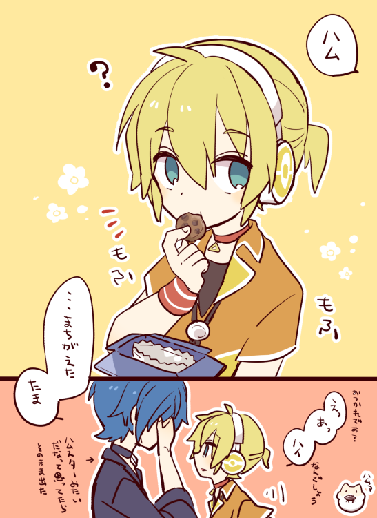 ハム(タマ) 