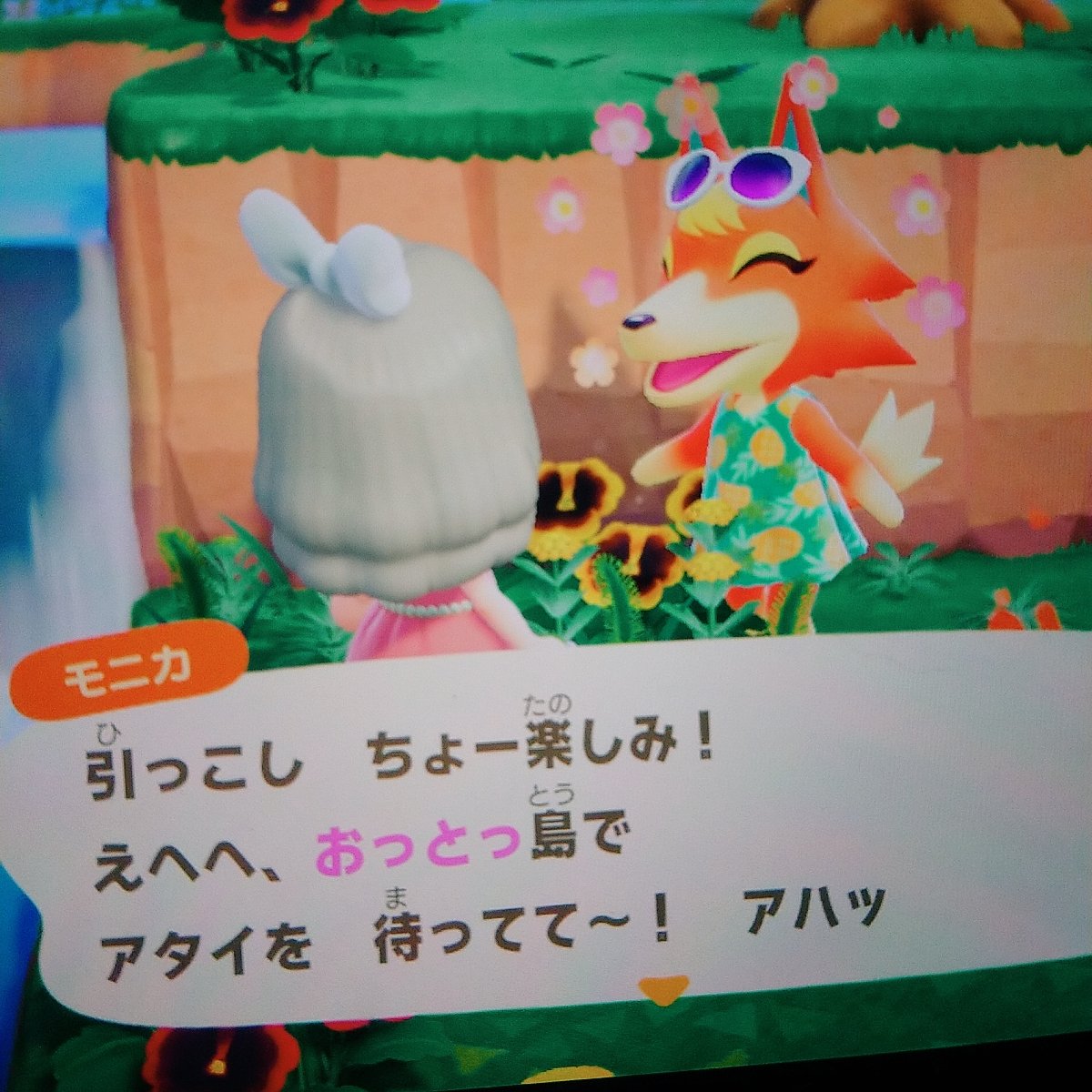 star0_0fish's tweet photo. ようこそモニカちゃん♡
私の島にリリアンちゃんとアセロラちゃんがいるんだけど、
アイドル同士仲良くしてね😭♥️
ユニット組んでもいいんだよ…！ https://t.co/WCN7sLC3D0