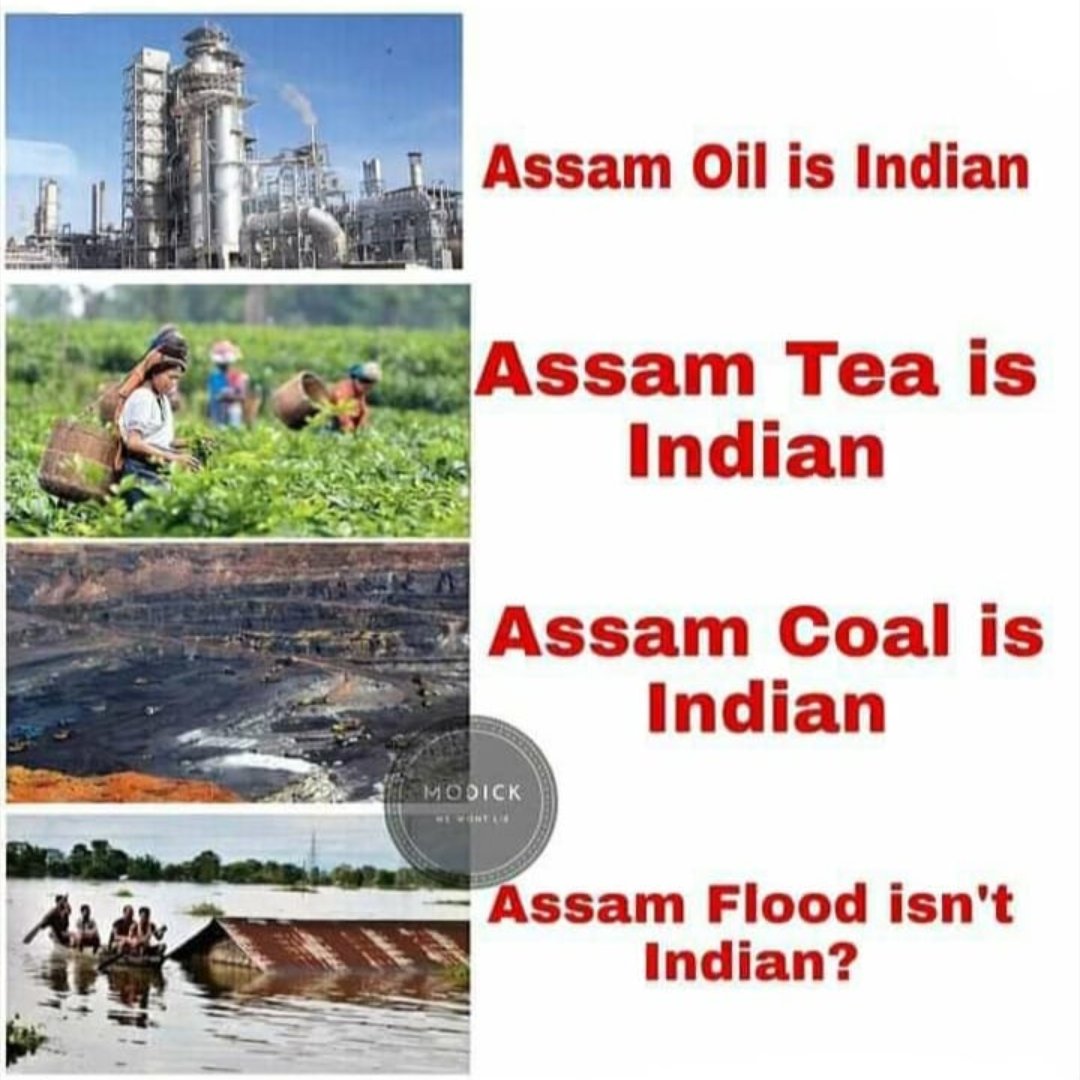 archita_dutta4's tweet photo. International media is highlighting up the worst condition of Assam flood but national media where are you?
#AssamNeedsHelp
#AssamFloods
#AssamFloods2020
#SaveAssamFromFlood https://t.co/nY5rZ6HUAv