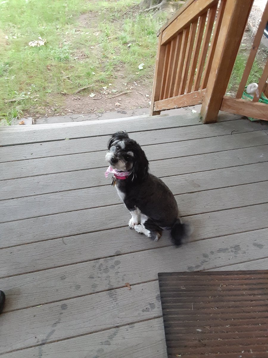 LTboneWilliams2's tweet image. 