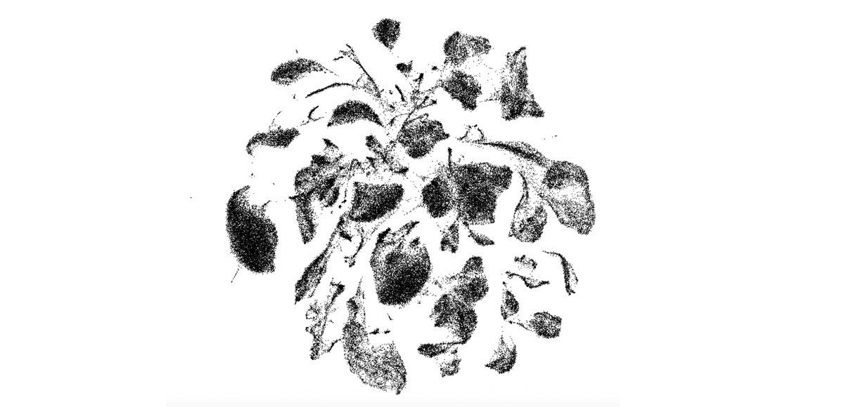 Does the expression of your gene of interest change during ageing? 

Having fun in checking for chemokines and their receptors in Tabula Muris Senis
tabula-muris-senis.ds.czbiohub.org