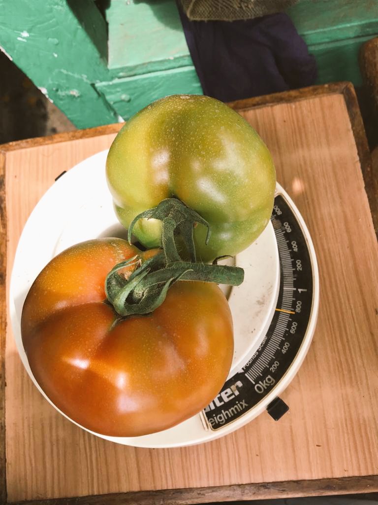abiorganickits's tweet photo. Tomatoes grown 100% organically. What more do you need to believe that organic is a certified sustainable way of farming! #GoOrganic #organicstyle #organicway #healthychoices #organicproduce #organicfarming #organicmagic #organically #organicsoil #organicproduct #ecofriendly https://t.co/KeTR5dfPNu