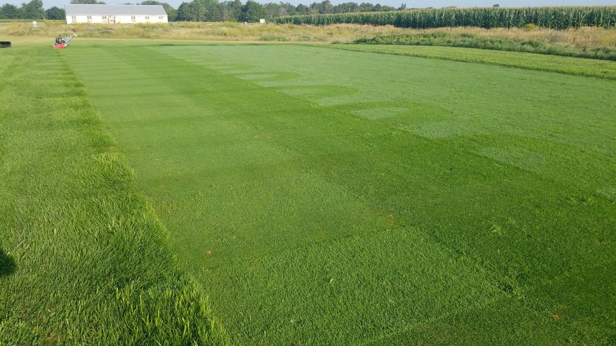 msousek2's tweet photo. Annual bluegrass plots at 0.400 still hanging in there.  Hope they dont mind 100+ temps?  #unlturf https://t.co/ZTR5A1IYYL