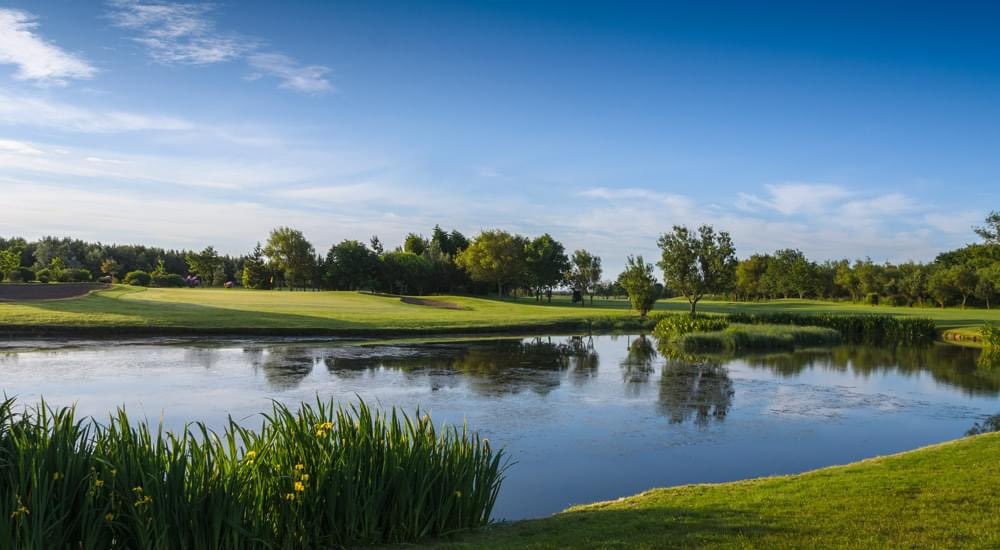 Blyth Golf Club tweet media