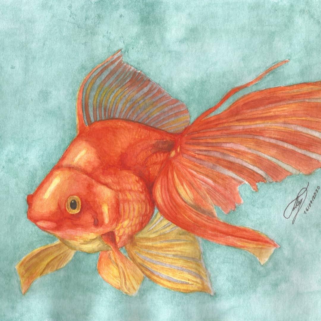 tadey999's tweet photo. Pez Dorado
▪️
Técnica: Acuarelas.
▪️
▪️
▪️
#pezdorado #pez #godfish #fish #acuarela #watercolor #Watercolour #FelizViernes #FelizViernesATodos https://t.co/aykZLO9jB4