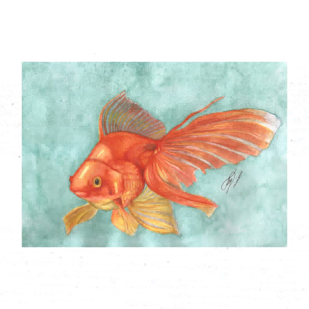 tadey999's tweet photo. Pez Dorado
▪️
Técnica: Acuarelas.
▪️
▪️
▪️
#pezdorado #pez #godfish #fish #acuarela #watercolor #Watercolour #FelizViernes #FelizViernesATodos https://t.co/aykZLO9jB4