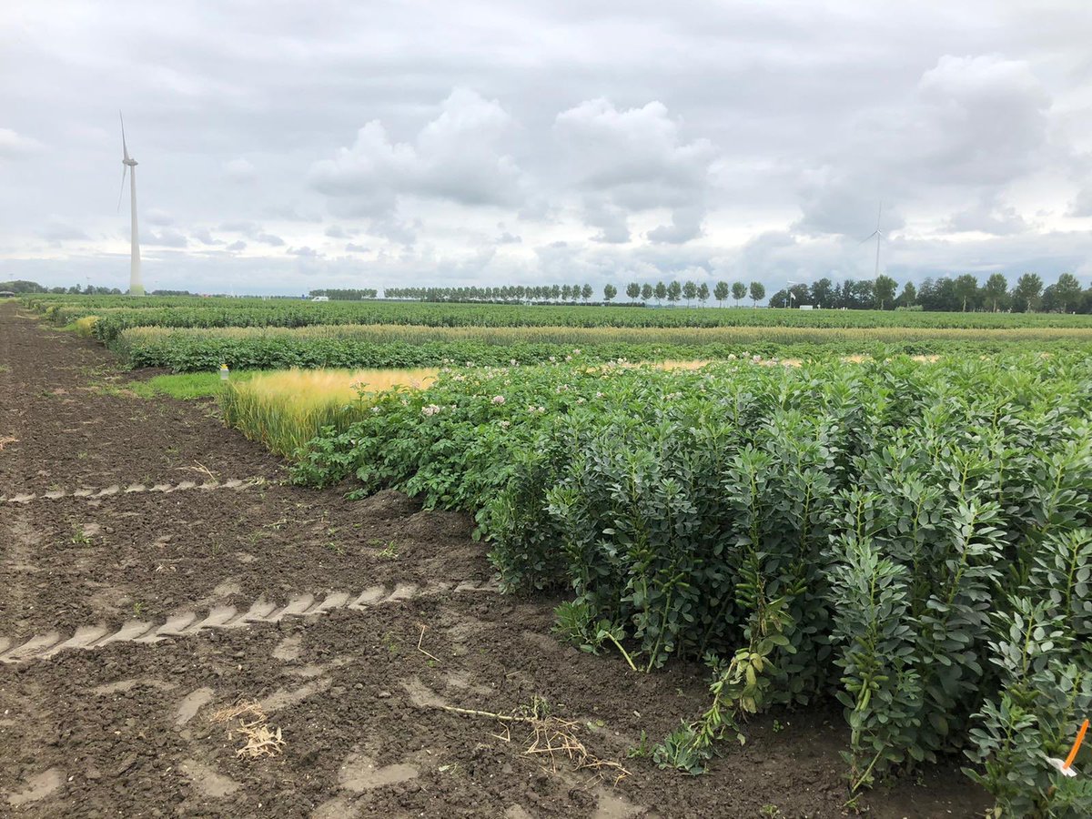 Vandaag ontvingen <a href="/PieterLdeWolf/">Pieter de Wolf</a> en @WSukkel ons van <a href="/minlnv/">Minlvvn</a> op de #BoerderijvandeToekomst in Lelystad. Bruisend van ontwikkeling in nieuwe teeltsystemen en technologie, open voor deelnemers en bezoek. De #BoerderijvandeToekomst is eigenlijk al heel dichtbij! #kringlooplandbouw