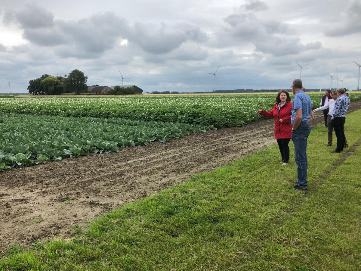 Jan-Kees Goet tweet media