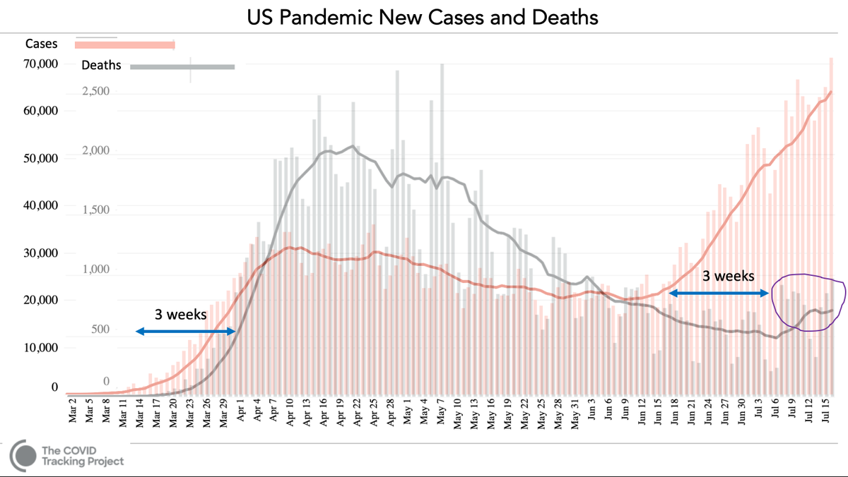 EricTopol's tweet photo. As predicted and replicated, it takes about 3 weeks from when new covid cases spike to the time an increase in deaths are seen. A graph I made from @COVID19Tracking data to show the lag https://t.co/sAVrJFYDwt