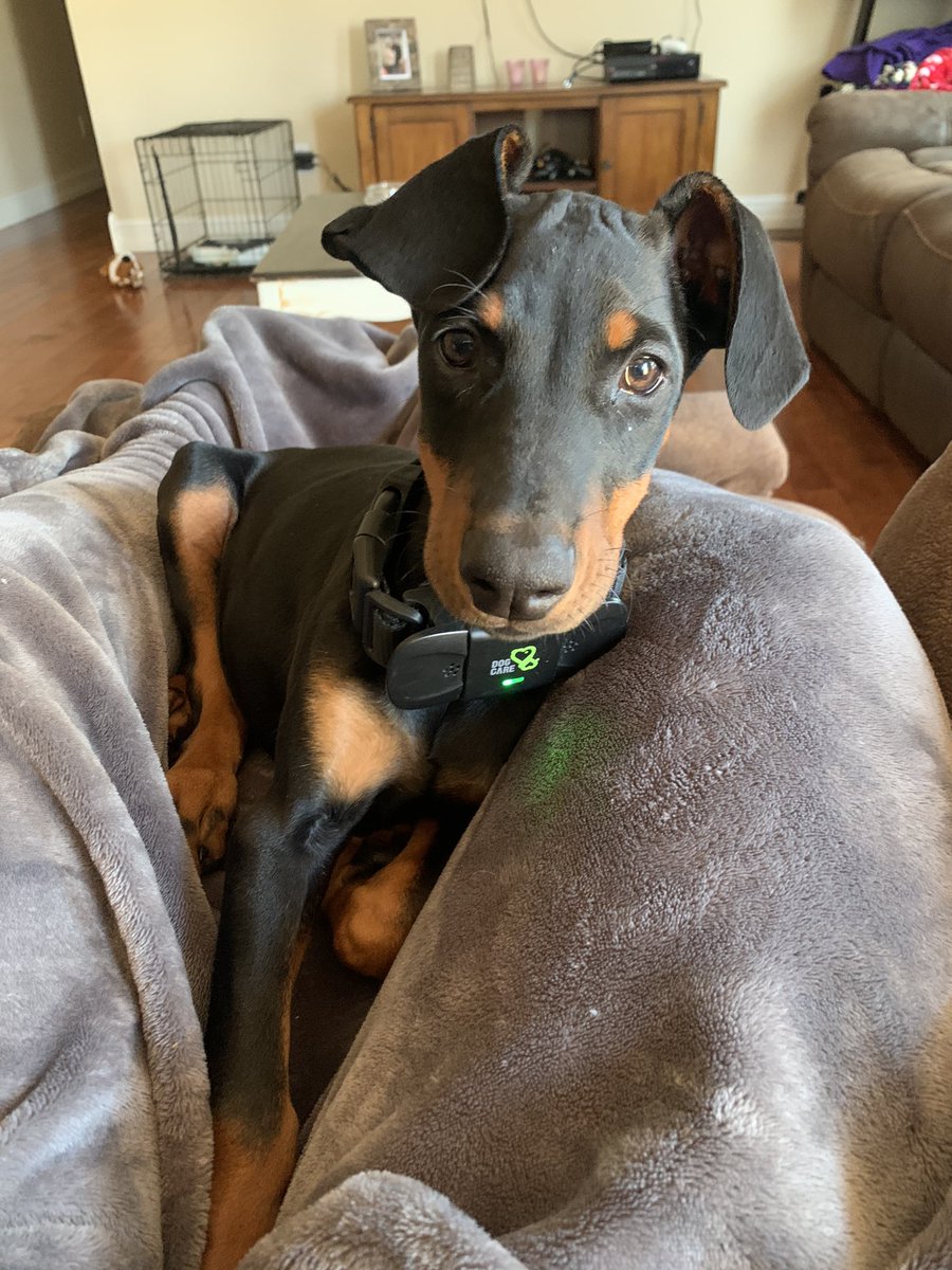 harlllieee's tweet photo. I may be biased, but Jake and I have the cutest girls 🥰🥰 https://t.co/vkhN8g8ynh