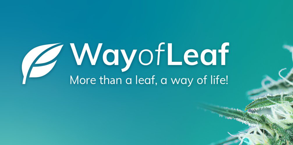solosciences's tweet photo. Even with legalization efforts, daunting complexities and thriving black markets exist – as described by @WayofLeaf.  #cannabis #blackmarket #marijuanalegalization 

Tools like #solosciences’ seed-to-sale-to-self tracking are making a difference.

https://t.co/M4pUVyIaAe https://t.co/rICJqJh3YT