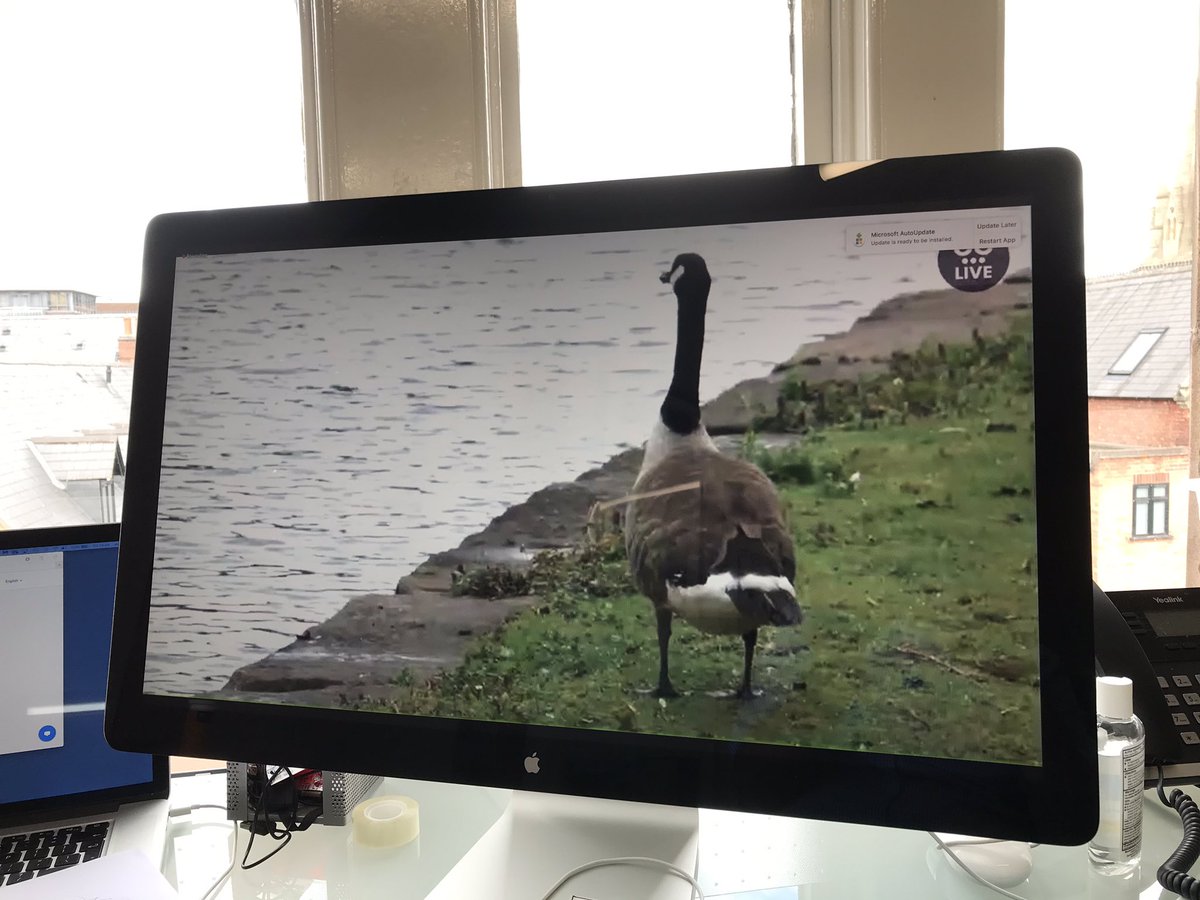 <a href="/IslandQuarter/">The Island Quarter</a> great webinar introducing this fantastic development that will be a game changer for this fine city. @RizkMcCay @CartwrightComms