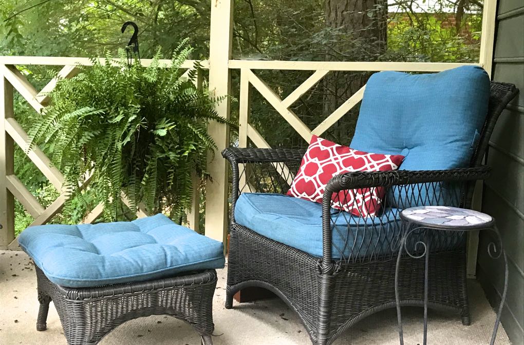 A fern here and there has been my idea of seasonal decorating. But now, it’s time to up my game! My mental health is demanding it! Find out how we can all do it on a budget at bit.ly/32oYP50