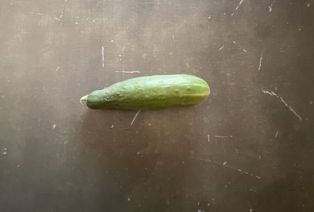 So Walter Waterman was stuck. That made him very sad. Another cucumber, but not one of the perfect ones, asked why he was so sad & Walter said he wasn’t a perfect cucumber, & he wasn’t a watermelon so he didn’t know what he was. His friends said look at me! I’m not perfect.