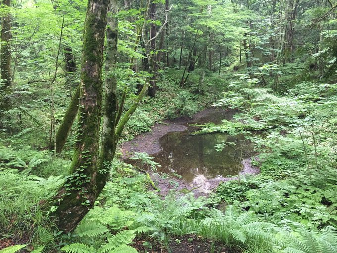 Ymkmn3desuさんのイラスト一覧