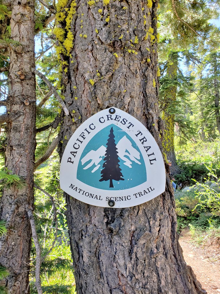 tinyocean_rving's tweet photo. #TamarackLakes #PCT #PacificCreastTrail #RVingUS #RVTrip5 https://t.co/6ZgAS5O27V
