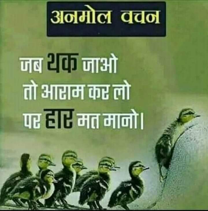 000KALPESH's tweet photo. #પહેલા_રોજગારી_પછી_ચૂંટણી
@vagadiyadaxesh
@YAJadeja
@ruzankhambatta
@isudan_gadhvi
@akshaykumar
@ManharDamor13
@damor_udesinh
@TwitterIndia
@monajogal https://t.co/Z0kGaTXQYt