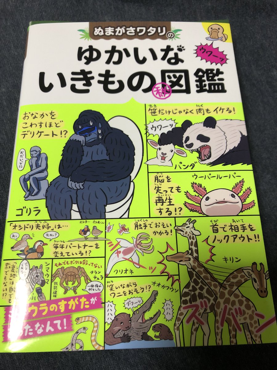 カラスの殺人 ウォンバットの知恵 ぬまがさワタリ先生による英語での動物 集合名詞 イラストがかわいくてためになる Togetter カラスの殺人 ウォンバットの知恵 ぬまがさワタリ先生による英語での動物 集合名詞 イラストがかわいくてためになる Togetter