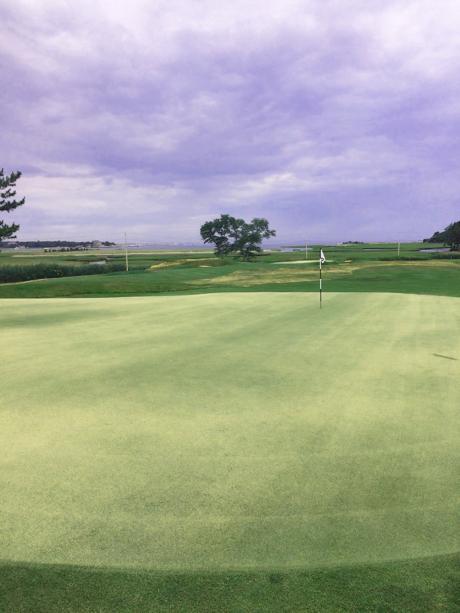 ReadCustomSoils's tweet photo. Topdressing greens at Hatherly Country Club. Looking good!
#HatherlyCountryClub #golf #golfcourse #GCSANE #golfcoursesuperindentents #topdressing #1mmselectgrade #golfisback #engineeredsoils #customsoils #landscaping #premiumblend #certified #ReadCustomSoils https://t.co/V76mzA6f3M