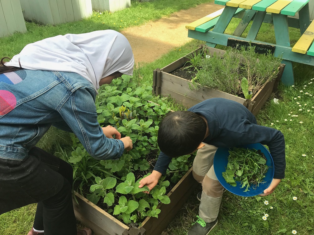 VegCities's tweet photo. Since lockdown, the Keep Growing initiative has supplied 700 people in Tower Hamlets with veg growing starter packs inc 5 tonnes of soil to key points around the borough for participants to use! @Wen_UK Read more https://t.co/1kW3KjbKHy https://t.co/u53sIK2CIt