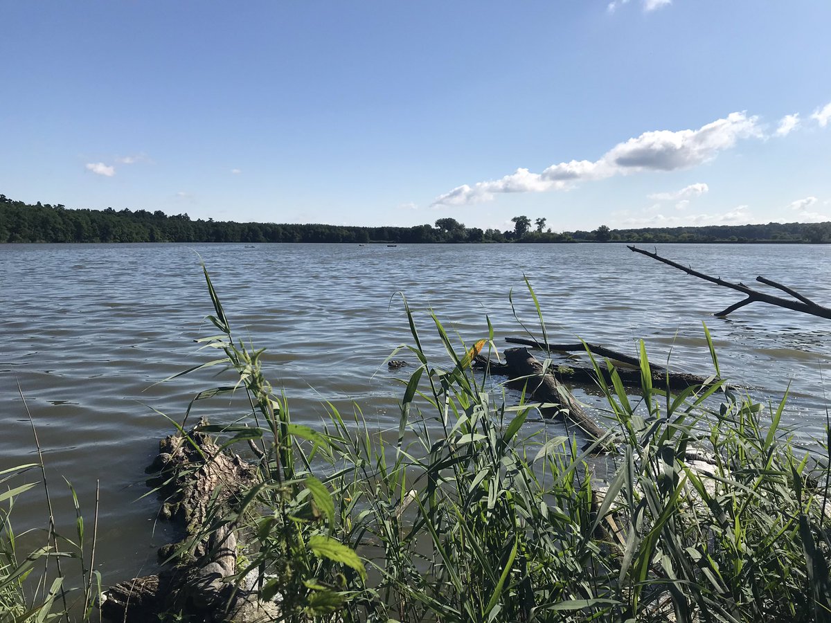 Kucerova_uci's tweet photo. Stolářka pond near Bzenec and its artificial platforms for common tern istalled by @birdlifecz. Tern belongs to endangered species. It lost most of its former nesting sites because of stream regulations. Platforms help. Tern-population has grown five times since installing them. https://t.co/OvOjyHmbbW